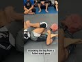 Heel hook from failed guard pass #bjj #jiujitsu #bjjdrills #shorts #guardpass #leglock #heelhook