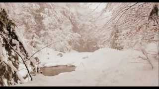 CLAUDIO BAGLIONI / Il Paese Bianco Di Magia ( Winter Wonderland ) / VIDEO