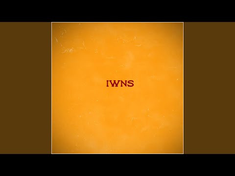 IWNS