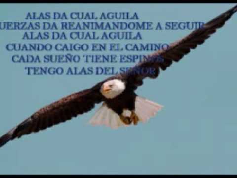 RONDALLA CRISTIANA LAS AMERICAS Alas de Aguila