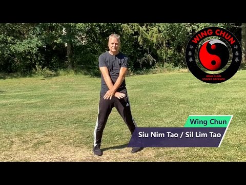 Wing Chun's First Empty Hand Form - Sil Lim Tao