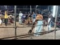 New Karakattam HD Comedy Karakattam Video