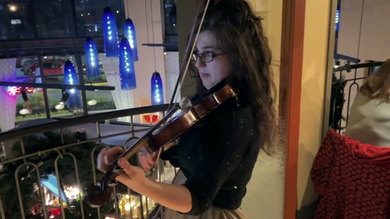 Promotional video thumbnail 1 for The Violin Lady