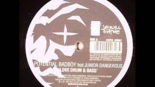 Potential Bad Boy feat. Junior Dangerous - Love Drum & Bass