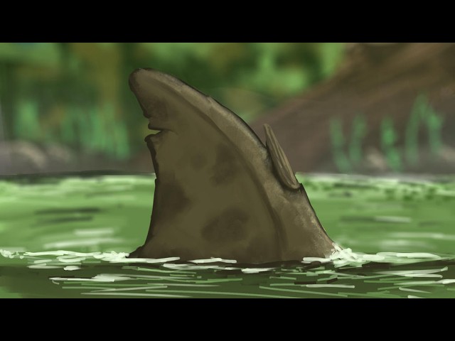 When Thalassophobia Kept You Alive SDDEFAULT Thumbnail