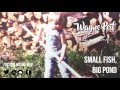 Wayne Peif - Small Fish, Big Pond (2016)