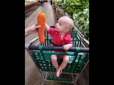 Making Luck "Mini"sode: Menagerie (expansion) revisited (ep 108)