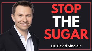 What Happens If You Stop Eating Sugar for 14 Days | David Sinclair