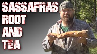 Sassafras Root and Tea: WARNING Declared Carcinogenic by the FDA