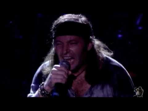 Vasco Rossi - Vivere (Live 1993)