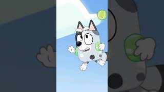 Download lagu Who's got the greatest Christmas catch? | Bluey mp3 Download lagu Who's got the greatest Christmas catch? | Bluey mp3