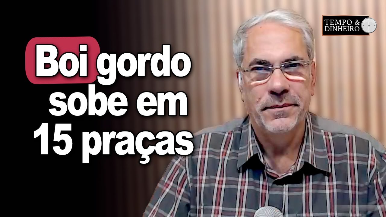 Boi gordo sobe em 15 praças pecuárias. Vai bater nos R$300@?