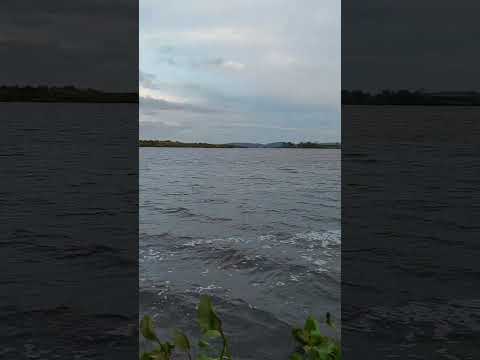 Laguna del Sauce. Maldonado  Uruguay. 2022(3)