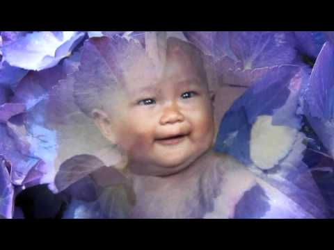 Daniele Ferrari  - Blossom Time -