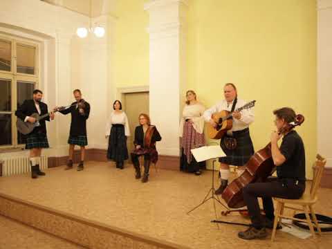 Kelt - Kelt - Vrba
