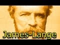 The James-Lange Theory of Emotion [Daniel Man of Reason]