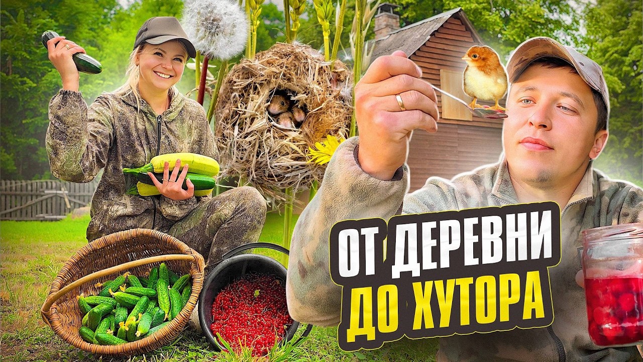 Живём в Деревне и Рассказываем о Своей Жизни! Какой Огурец Вкуснее и Что Зака