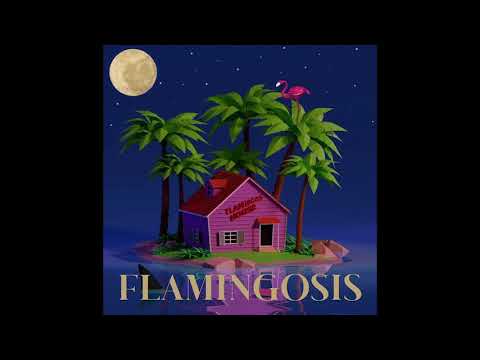 Flamingosis - Mood Provider Vol. 5 (Full Mixtape)