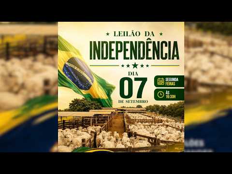 LEILÃO  DE INDEPENDÊCIA BRASIL LEILÕES  PORANGATU - GO  07 /09 / 2026