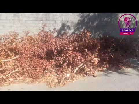 Inresponsabilidade da Equatorial