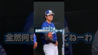 バレンタインチョコを貰う大谷翔平！初日から投げ込む￼！話が長いフリードマン！￼山本由伸バットをへし折る￼！緊張しまくる佐々木朗希！ドジャースキャンプイン！　#looppot楽曲提供  #蝉時雨物語