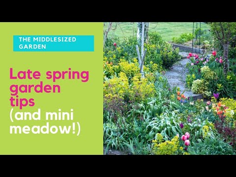 Late spring garden tour & tips - plus what to do now for a mini meadow!
