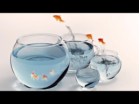 Голодаю 13 дней. Лечебная пищевая пауза на воде. 13 апреля 2020 года.