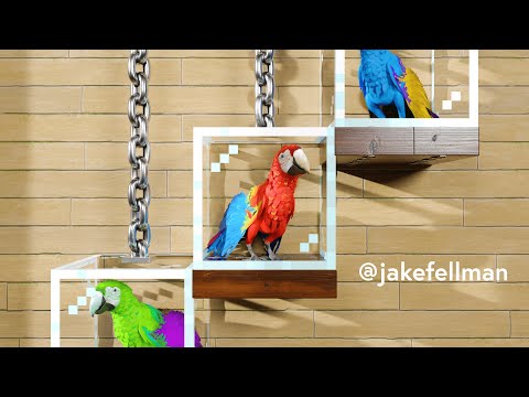 EPIC Minecraft RTX 95% Bird Cage! 😱 | Jake Fellman #Shorts