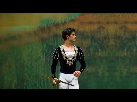 António Casalinho - Prince Siegfried Act I variation