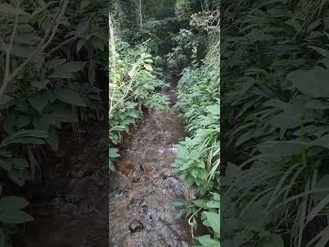 dia 11: Conceição das Pedras x Vargem Alegre