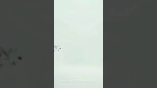 Download lagu Still life- RM & Anderson Paak [lyrics] #indigo #stilllife #rm #andersonpaak mp3