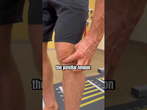 Fix Knee Pain FAST!!!💨