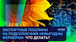 ЭКСПОРТНЫЕ ПОШЛИНЫ НА ПОДСОЛНЕЧНИК НЕВЫГОДНЫ ФЕРМЕРАМ: ЧТО ДЕЛАТЬ?