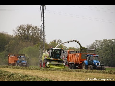 Claas Jaguar 950 gras hakselen 2015 - Vandemaele