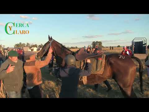 Fiesta Hípica Club Nacional de Pirarajá - #CercaYClaro - TeleDeltaHD