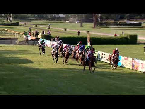 Dostihy Lysá nad Labem 6. 7. 2022 - 9. dostih - Proutěné překážky Conseq
