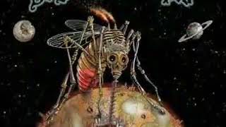 Marijuana - Slightly Stoopid feat. Don Carlos