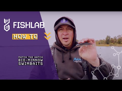 FishLab How To- Match the Hatch