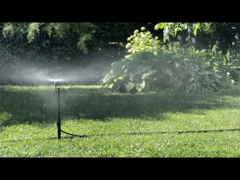 Микродождеватель "Гном", радиус до 1,5 м, расход 60 л/ч, подключение 5 мм "папа" (капельница - микроджет) - фото 1 - id-p1546180690