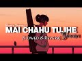 Mai Chahu Tujhe | Yaara | [Slowed  and Reverb] |Perfect | Hindi Lofi