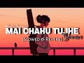 Mai Chahu Tujhe Yaara Slowed And Reverb Perfect Hindi Lofi