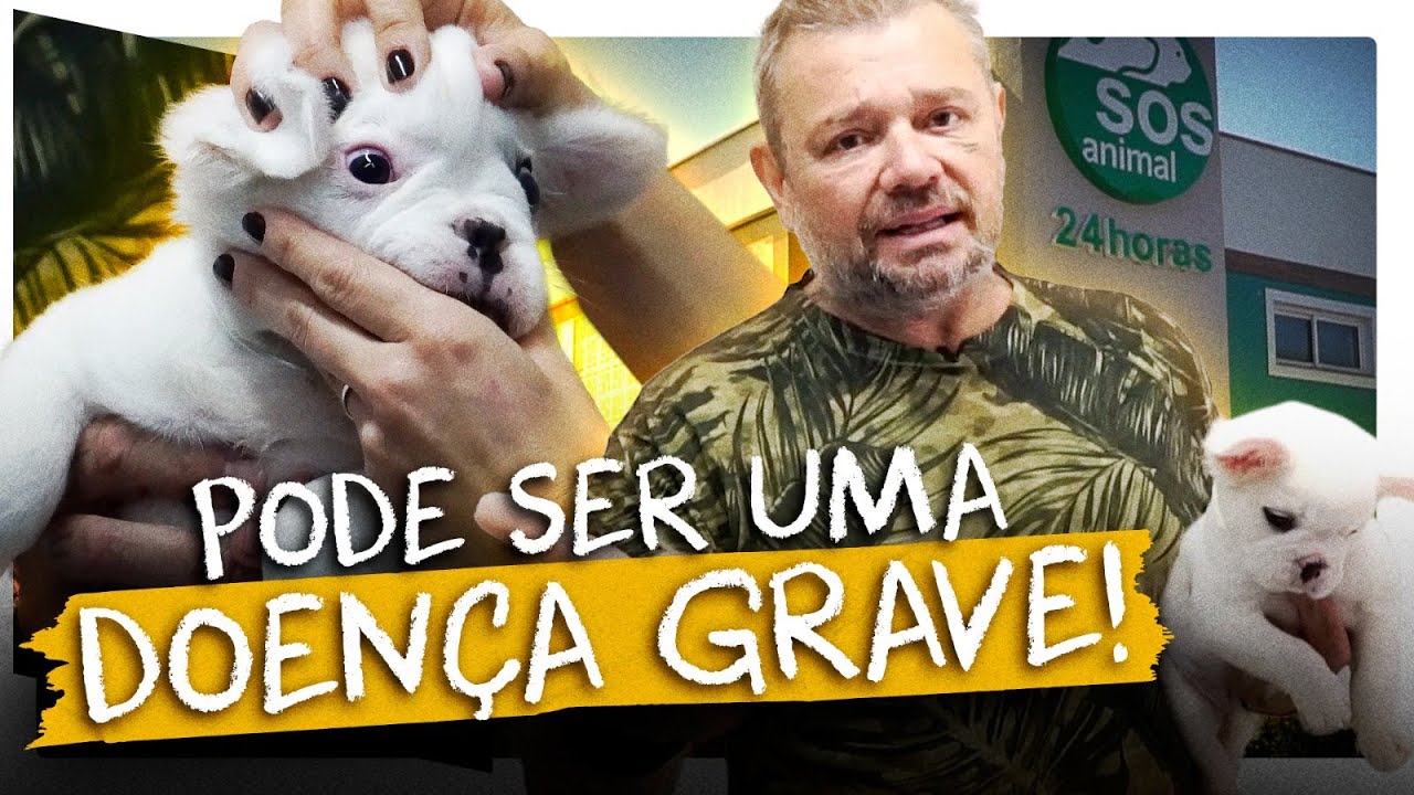 CINOMOSE, UMA DOENÇA COM SEQUELAS IRREVERSÍVEIS!! | RICHARD RASMUSSEN