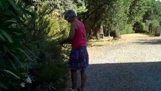 preview picture of video 'Montaleo 15 Vakantiehuis in Toscane'