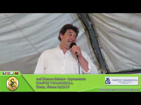 01-11-19  - Bienvenida de José Chamaco Etcheber - Representante - Campos y Ganados S.A. - Claraz