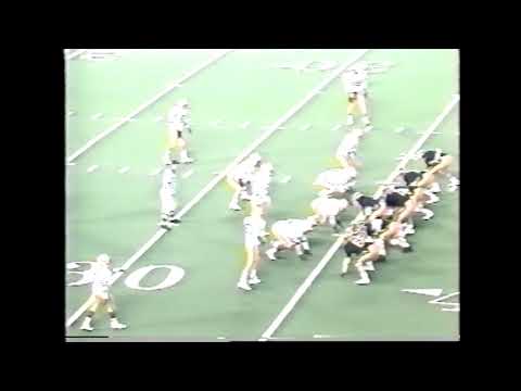 Farmington Hills Harrison vs. DeWitt - 1989 Class B Football Final