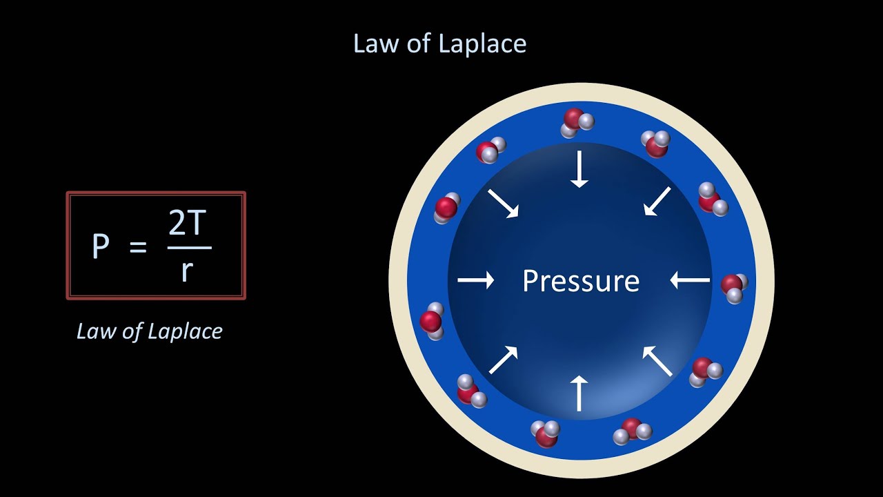 Surface Tension and Surfactant (Fluid Mechanics - Lesson 12)