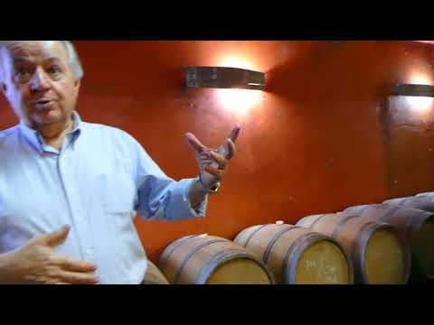 Visita à Vinícola Juan Carrau: a Casa do Amat