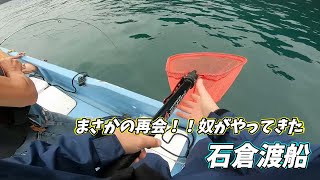 OP前でも釣れて楽しんで、最後にエゲツない奴が来た！！