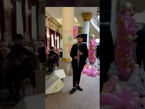 Mega Group - Instrumental live program 2022