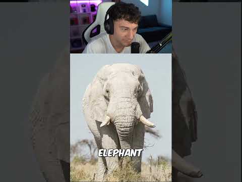 POSLEDNÍ BÍLÝ ČLOVĚK NA SVĚTĚ? 🤣